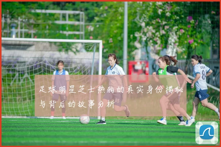 足球明星芝士热狗的真实身份揭秘与背后的故事分析