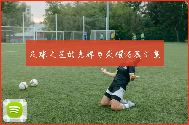 足球之星的光辉与荣耀诗篇汇集