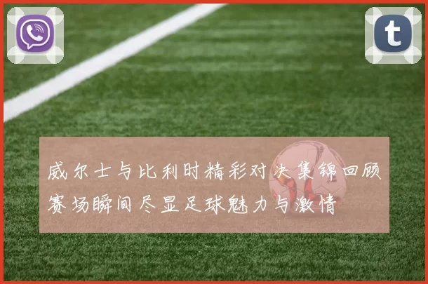 威尔士与比利时精彩对决集锦回顾赛场瞬间尽显足球魅力与激情