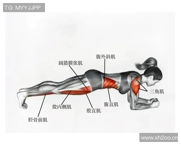 肩部健身器材：推荐有效锻炼肩部肌肉的健身器材及其使用技巧